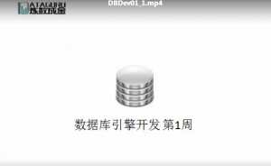 数据库引擎开发